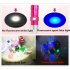 365NM USB Fluorescent Agent Detection Lamp Purple light Torch Jade Paper Currency Detection Light black