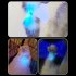 365nm Ultraviolet Light Flashlight Usb Charging Uv Veterinary Lamp Money Detector For Pet Fungus Detection blue