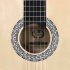 39 Inch Acoustic Guitar Travel Folk Guitar Guitar Acoustic Guitar Wooden Beginner Guitar Music Instruments For Kids Girls Boys Beginners sunset color