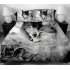 3D Double Wolf Printing Theme Bed Set Quilt Cover Pillowcases Housewarming Gift Decoration 2pcs 3pcs Couple wolf6F9B