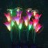 3LEDs Solar Powered Lawn Light Waterproof Lily Flower Butterfly Shape for Outdoor Garden Decoration Red color
