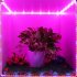 3PCS IP65 LED SMD5050 Plant Grow Light Strip with Red Blue Light Creative Grow Lamp for Indoor Hydroponic Plant Vegetable Cultivation Horticulture Industrial Se