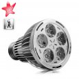 LED Light