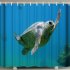 3d Printing Shower  Curtain Waterproof Bathroom Hanging Curtain Decoration Blue 180 180cm