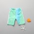 3pcs Boys Split Swimsuit Quick drying Sunscreen Long Sleeves Swimwear Trousers Bathing Suits For 3 12 Years Old Kids As shown 11 12Y 3XL