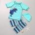 3pcs Boys Split Swimsuit Set Summer Short Sleeves Sunscreen Quick drying Swimwear Swimming Trunk With Swimming Cap blue 5 6years XL