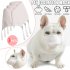 3pcs Dog Face Mask 3 layers Nonwoven Soft Respiratory Filter Anti Dust Mask Pet Accessories Short nose S