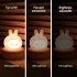 3w Cartoon Silicone Led Night Light USB Rechargeable Bedroom Bedside Lamps Christmas Gift For Girls Boys bunny 3W