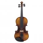 4/4 Acoustic Violin With Case Bow Strings Wiping Cloth