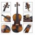4 4 Acoustic Violin With Case Bow Strings Wiping Cloth Fingerboard Sticker Full Size Violin For Kids Beginner 4 4   Retro Matte