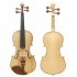 4 4 Full Size Acoustic Violin For Beginners Starter Kit With Case Shoulder Rest Bow Strings Tuner Cleaning Cloth Wood color full set
