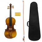 4/4 Full Size Violin Set Solid Wood Violins Musical Instrument Beginners Kit With Storage Case Violin Bow For Student Beginners 4/4-Vintage color