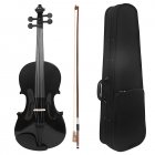 4/4 Violin Full Size With Carrying Case Bow Set Musical Instrument Beginners Kit Gift For Kids Students Learners Black with dots