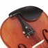 4 4 Violin Spruce Solid Wood Professional Performance Teaching Violin with Case Bow Stringed Instruments