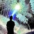 4 Modes Headlamp Waterproof LED Head Lamp Super Bright Head Lamp Flashlight For Outdoor Camping Running Hunting Reading 6578 P70 headlight   USB cable  without 