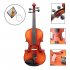 4 Pcs set Violin Strings E A D G Exquisite Stringed Musical Instrument Parts Accessories AV10