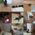 4 in 1 Pet Cats Infrared Teaser Toys Multifunctional Rechargeable Various Patterns Iq Training Toy pink on white background