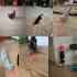 4 in 1 Pet Cats Infrared Teaser Toys Multifunctional Rechargeable Various Patterns Iq Training Toy white on black background