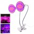 400 LED 40W Double head Clip Plant Grow Light with Red   Blue Light for Indoor Hydroponic Vegetable Cultivation U S  regulations