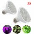 400 LED 40W Double head Clip Plant Grow Light with Red   Blue Light for Indoor Hydroponic Vegetable Cultivation U S  regulations