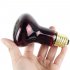 40W Pet Infrared Heating Light Bulb for Reptile  E27 200 240V