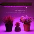 45W 225 bead LED Square Plant Growth Lamp AC85 265V Household Horticultural Ecological Light Garden Tools