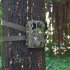 4K HD IR Dual Camera Night Vision Infrared Photo Traps 2MP Starlight Level NIR Sensor H8201