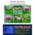 4K HD IR Dual Camera Night Vision Infrared Photo Traps 32  Pixels Digital Camera Waterproof