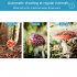 4K HD Outdoor IR Camera Night Vision Infrared Photo Traps 25m Triggering Distance 20m Range Of IR Flash