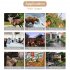 4K HD Outdoor IR Camera Night Vision Infrared Photo Traps 25m Triggering Distance 20m Range Of IR Flash
