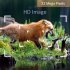 4K HD Outdoor IR Camera Night Vision Infrared Photo Traps 25m Triggering Distance 20m Range Of IR Flash
