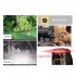 4K HD Outdoor IR Camera Night Vision Infrared Photo Traps 25m Triggering Distance 20m Range Of IR Flash