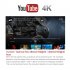 4K VP9 can help you save 50 percent bandwidth resource  and deliver razor sharp detail and vibrant images