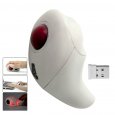 Wireless Optical Mouse