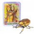 4pcs Bug Figurines Wind up Toys Creative Insect Animal Clockwork Toy Prank Props For Boys Girls Gifts 4