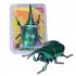 4pcs Bug Figurines Wind up Toys Creative Insect Animal Clockwork Toy Prank Props For Boys Girls Gifts 4