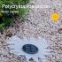 4pcs Solar Garden Light With 12 LED Outdoor Solar Landscape Lights IP65 Waterproof Pastoral Warm Light In Ground Lamp For Backyard  Lawn  Garden  Yard 011