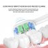 4pcs Ultrasonic Electric Toothbrush Head Replacement Brush Head Kits For HX 6014 HX 3   6   9 HX614 Upgrade   White