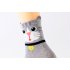 5 Pcs Lovely Dog Cat Ear Cartoon Socks Pure Cotton Antibacterial Deodorant Socks