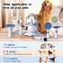5 in 1 Pet Grooming Kit   Low Noise Pet Grooming Vacuum W  2 L Dust Cup   Vacuum Up 99  Pet Hair