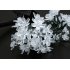 50 LED Solar Powered Decorative Fairy Lights will bring you home or gren to life and wont cost you anything in electricity  