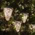 50 Leds Solar Starry Sky Light With Remote Control 8 Lighting Modes 3 Adjustable Brightness IP65 Waterproof Outdoor Courtyard Light  132 x 132 x 160mm  Warm Whi