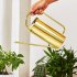50 Oz 1500 Ml Watering Can Pot With Long Spout Rustproof Stainless Steel Houseplant Watering Can For Indoor Plants Bonsai silver