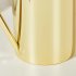 50 Oz 1500 Ml Watering Can Pot With Long Spout Rustproof Stainless Steel Houseplant Watering Can For Indoor Plants Bonsai gold