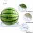 50 Pcs Melon Watermelon Cradles  Plastic Plants Garden Support Protectors For Watermelon Squash Pumpkin Vegetable Support Protective Stands 40lb 50pcs