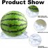 50 Pcs Melon Watermelon Cradles  Plastic Plants Garden Support Protectors For Watermelon Squash Pumpkin Vegetable Support Protective Stands 40lb 50pcs
