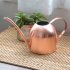 500ML Stainless Steel Long Mouth Watering Can Kettle for House Plant Indoor Outdoor  Rose gold