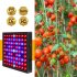 50w 81led Waterproof Grow  Light Growing Lamp Full Spectrum For Indoor Plant Hydroponic EU plug