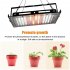 50w Led Grow Light With Plug Full Spectrum Plant Growing Lamp For Greenhouse Hydroponic Flower Seeds US plug