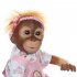 52CM Handmade Detailed Paint Reborn Baby Monkey Newborn Baby Collectible Art